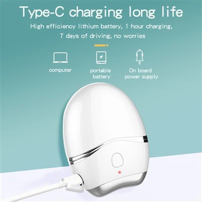 Nano Sprey Atomize Göz Buharlı Pişirici